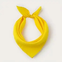 Merchandise - yellow scarf.jpg